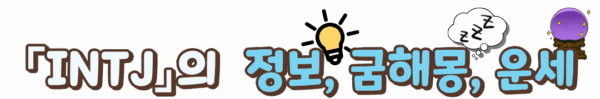 INTJ의 잡동사니